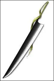 Quel est ce Zanpakut ?