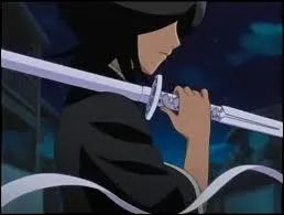 Quel est ce Zanpakut ?