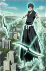 Quel est ce Zanpakut ?