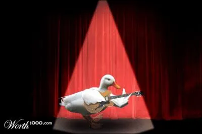 Chuck Berry en version canard, a pourrait faire...
