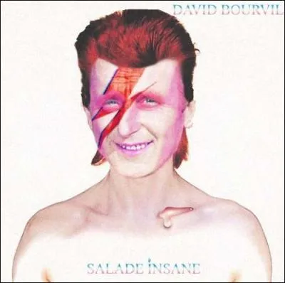 Quel nom de chanteur a t remplac par Bourvil sur cette pochette de disque ?