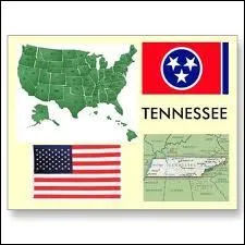 Compltez ces paroles de Johnny Hallyday :  On a tous quelque chose en nous de Tennessee, cette volont de prolonger ... ce dsir fou de vivre une autre vie .