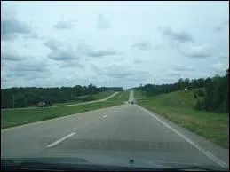 Que faisait le chauffeur dans la chanson  Sur la route de Memphis  d'Eddy Mitchell ?