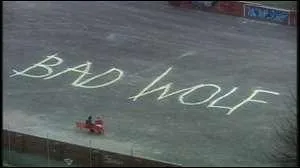 Ces deux mots ont perturb le docteur dans les saisons...