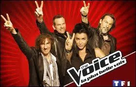 Qui prsente  The Voice  ?
