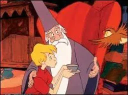 Comment s'appelle le hibou de Merlin l'enchanteur qui a sauv Arthur de situations dangereuses ?