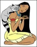 Comment s'appelle le raton-laveur de Pocahontas ?