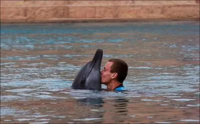 Quel dauphin d'eau douce est officiellement dclar disparu en 2007 ?