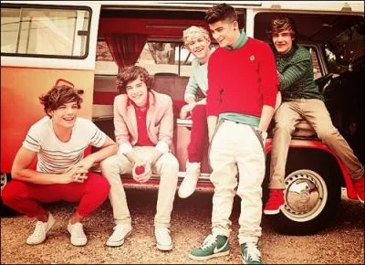 Quelles sont les  choses  qui diffrencient Niall des autres membres ?