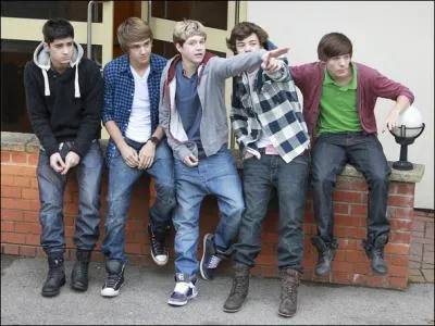 Quelle  chose  diffrencie Liam des autres membres ?