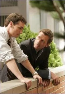 Dans quelle srie retrouve-t-on Grgory et Wilson ?