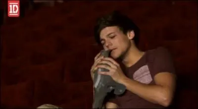 Comment s'appelle son ami le pigeon ?