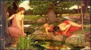 Je suis si beau que la nymphe Echo se meurt d'amour pour moi. Un jour en me dsaltrant dans une fontaine, je tombe amoureux de mon image et en oublie de manger et de boire. Je suis :