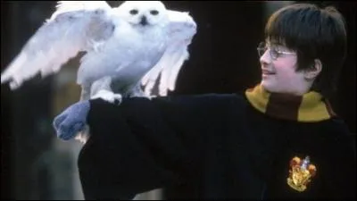 A quel film appartient cette image ?