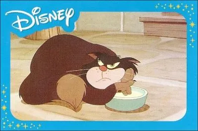 Quelle sorte d'animal suis-je ?