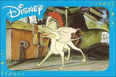 De quelle chienne est-ce que je tombe amoureuse ?