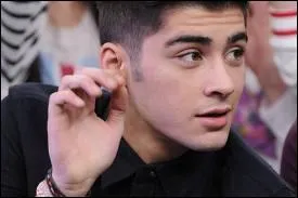 S'il n'tait pas chanteur, il serait ...