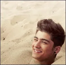 Quand Zayn tait petit, il a... .