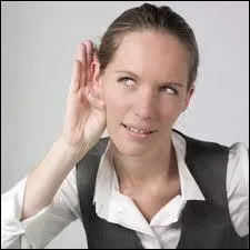 Comment dit-on  couter  en anglais ?