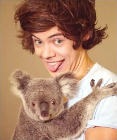 Dans la bote  questions, que dit-il en franais ?