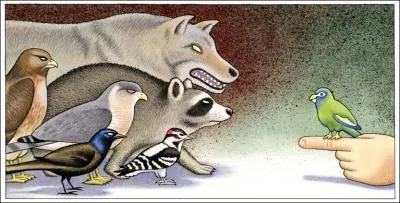 Quel mot inspire le mammifre au premier plan ?