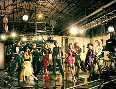 Qui est le leader de : SNSD ?