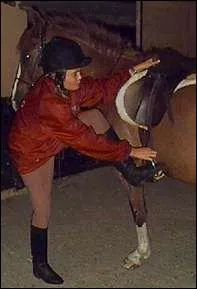 Que faut-il faire avant de se mettre en selle ?