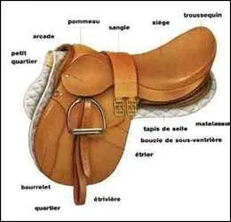 Comment desseller correctement un cheval ?