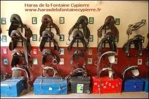 Apres avoir dessell et dbrid un cheval, que faut-il faire ?