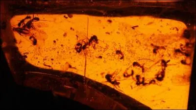 Un mot qui vous rappelle un titre !