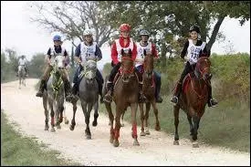 Quelle est cette discipline ?