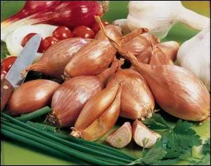 ''Échalote'' est une déformation du nom Ascalon, celui d'une ville...