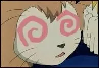 Quelle est cette bestiole ?