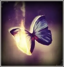 Qui a chant  Comme une toile amarante comme un papillon de nuit c'est la lumire qui m'attire la flamme qui m'blouit  ?