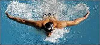 Quel nageur a remport la mdaille d'or aux preuves 100 m papillon et 200 m papillon aux JO d'Athnes en 2004 et aux JO de Pkin en 2008 ?