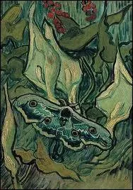 Quel peintre a reprsent un papillon de nuit empereur ?