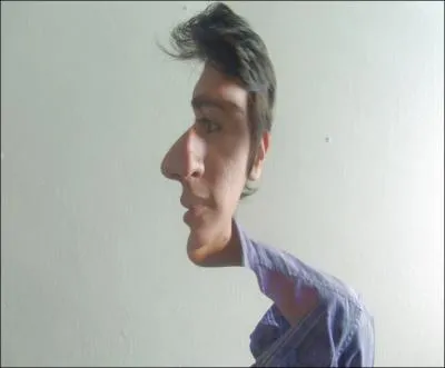 En regardant cette photo, on peut en dduire ...