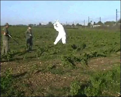 Que fait-il aux chasseurs dans la vido du lapin ?