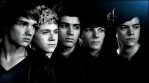 Qui n'a qu'un seul rein ?