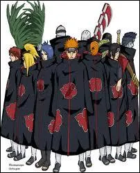 L'Akatsuki veut capturer tout les bijuu dans le but d'apporter la paix dans le monde.