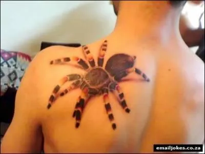 Une araigne est vnneuse !