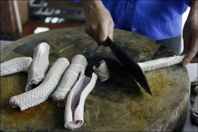 Il habite au Vietnam, que peut-il dcouper ?