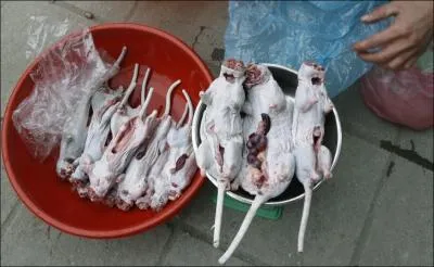 Je viens de finir de djeuner, j'ai un peu de mal, tant pis !