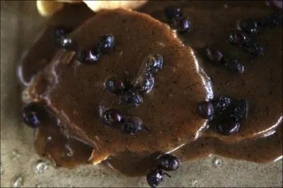 Avec quoi est prpar ce plat ?