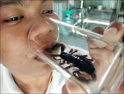 Que va-t-il avaler ?