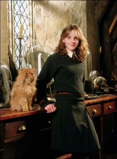 Comment s'appelle le chat d'Hermione ?