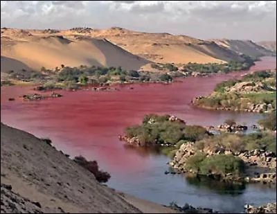 ''Quatre saisons plus belles après Vivaldi / Cinq sens et ----- plaies d'Égypte / Trois dimensions, quatre vérités / Et quelque part, sûrement, quelqu'un à aimer '' (Jean-Jacques Goldman)