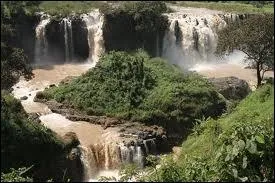 En 1985, les Chanteurs sans frontières tentaient d'aider ce pays avec ''Éthiopie'' . Qui a écrit les paroles ?