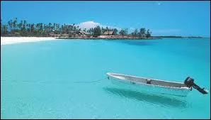 ''En 40, près de Munich / Sur les côtes du Mozambique / On a établi des listes, une gestion mathématique / Le fascisme, l'esclavagisme ont envoyé au casse-pipe / Des humains d'un certain type... ''