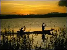 ''In Zaïre was no good place to be / Free world go crazy / It's an atrocity / ... Go Maasaï go Maasaï be mellow / Go Maasaï, go Maasaï be sharp / ... Today it's ------------ '' (Manu Chao)